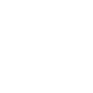 TIGRE PNG
