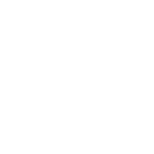 ADRIACAR-PNG